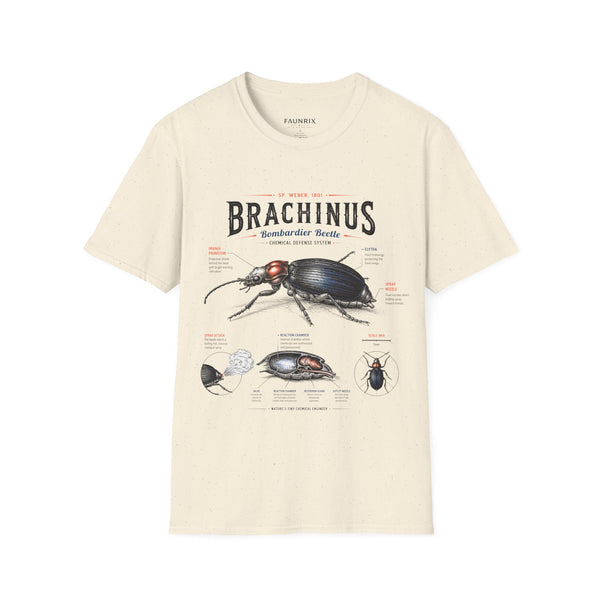 Brachinus Bombardier Beetle Anatomy T-Shirt — Vintage Entomology Graphic Tee