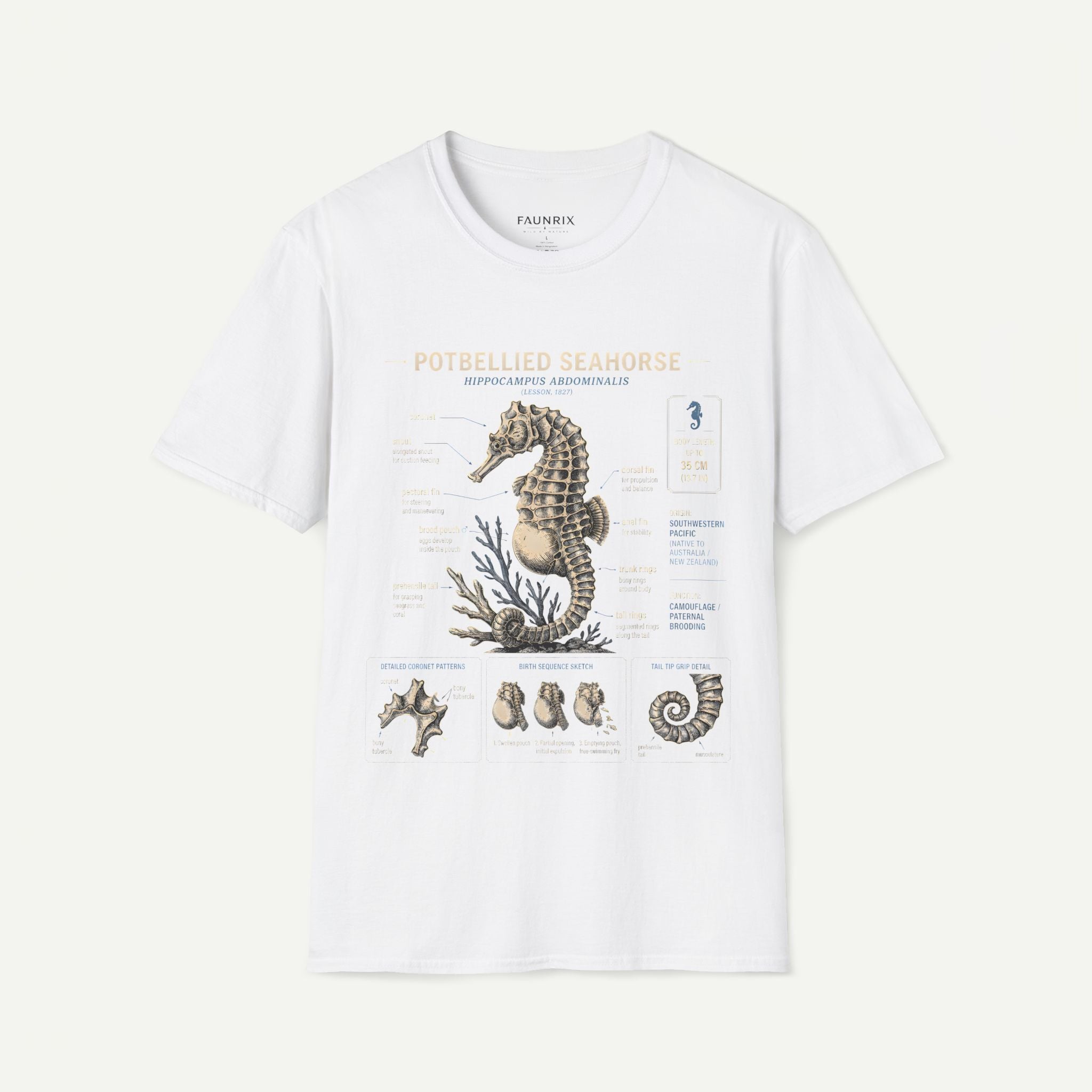 Seahorse Anatomy T-Shirt — Vintage Potbellied Seahorse Illustration Secondary image