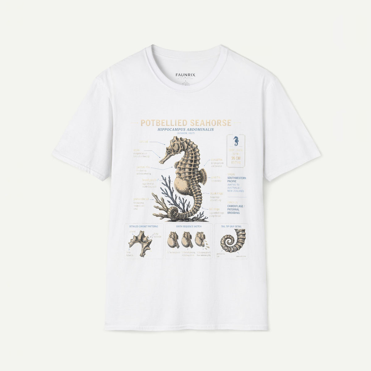 Seahorse Anatomy T-Shirt — Vintage Potbellied Seahorse Illustration