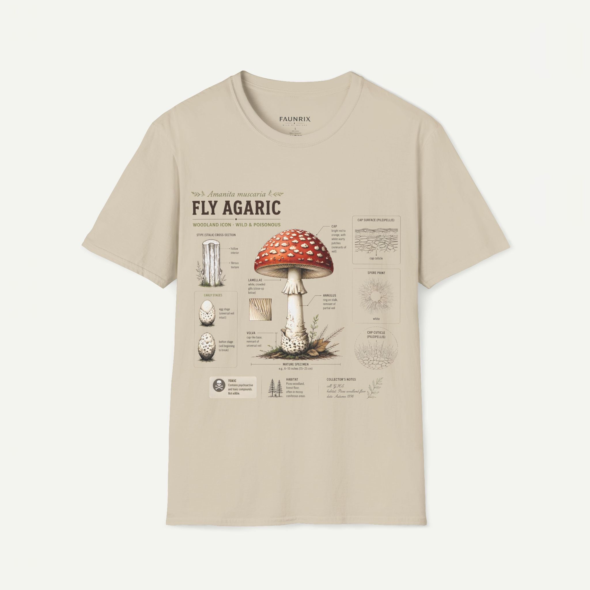 Amanita Mushroom Anatomy T-Shirt — Fly Agaric Botanical Illustration Tee Secondary image
