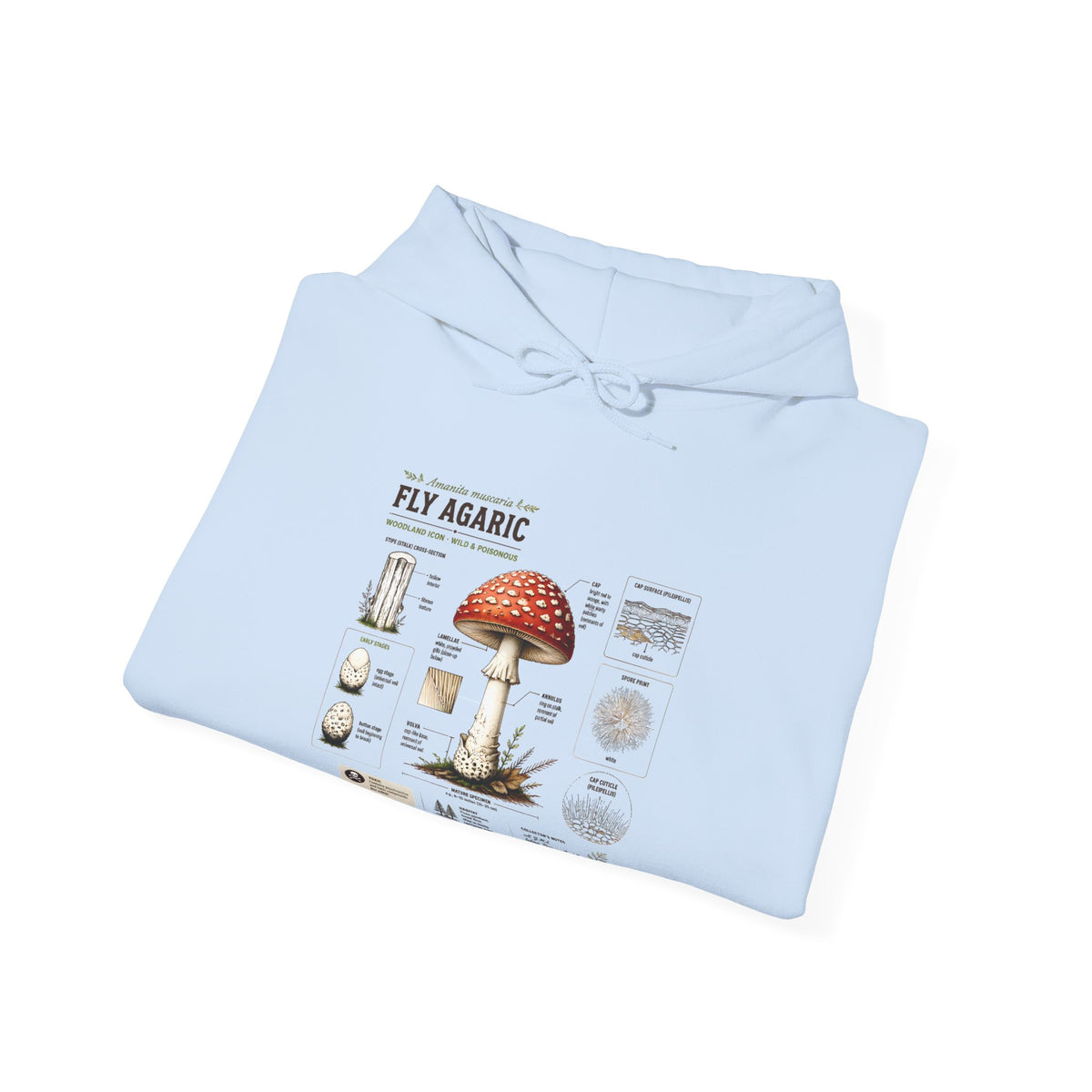 Fly Agaric Mushroom Hoodie – Vintage Mycology Diagram Sweatshirt