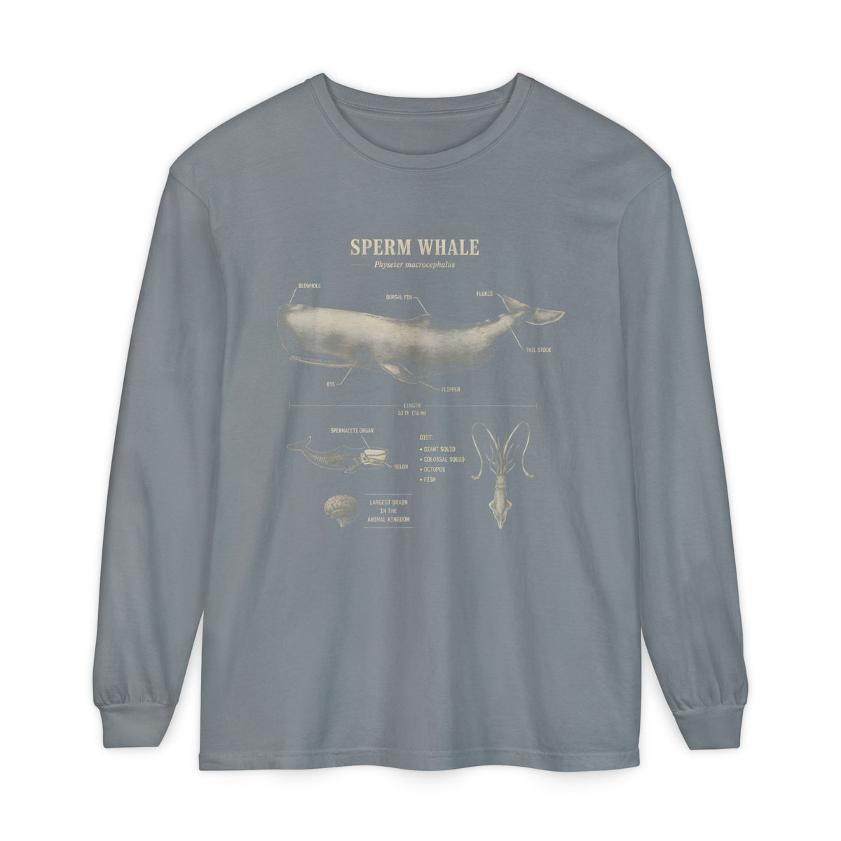 Sperm Whale Anatomy Long Sleeve Tee — Marine Life Graphic Shirt
