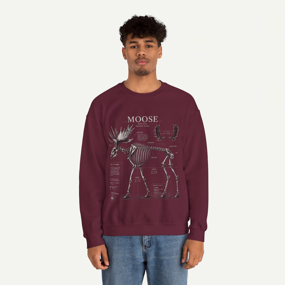 Moose Skeleton Anatomy Sweatshirt