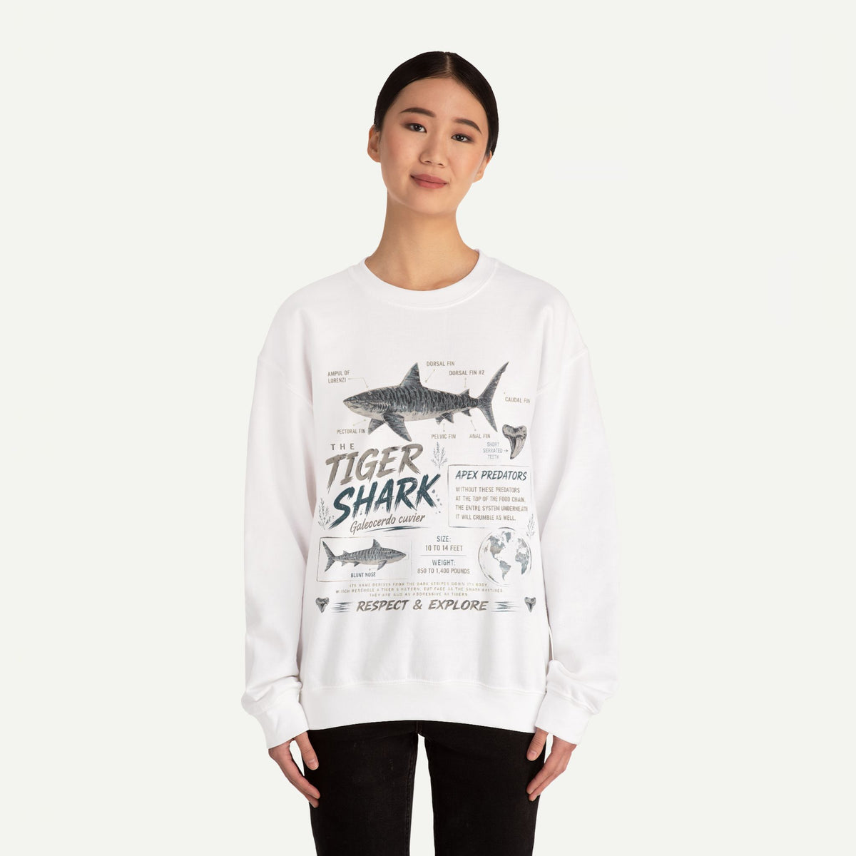Tiger Shark Anatomy Sweatshirt — Marine Biology Graphic Crewneck