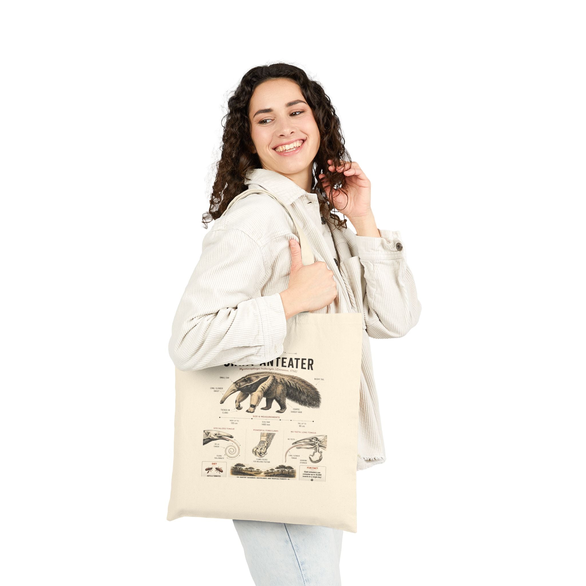Giant Anteater Anatomy Tote Bag – Vintage Wildlife Diagram Cotton Canvas Secondary image