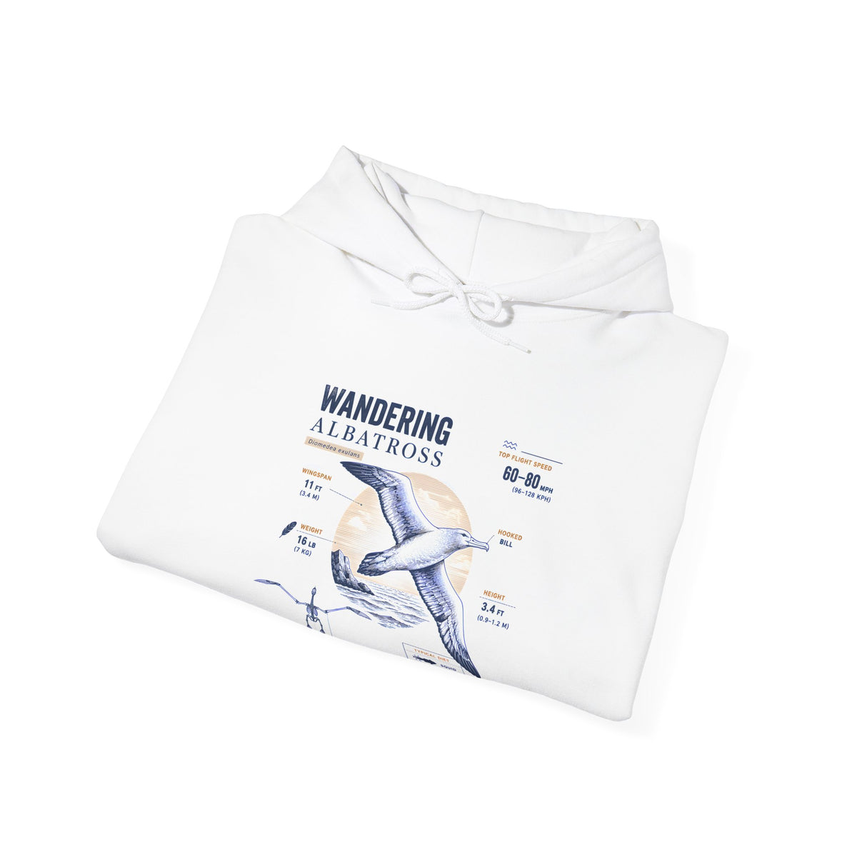 Wandering Albatross Hoodie — Illustrated Sea Bird Anatomy Pullover