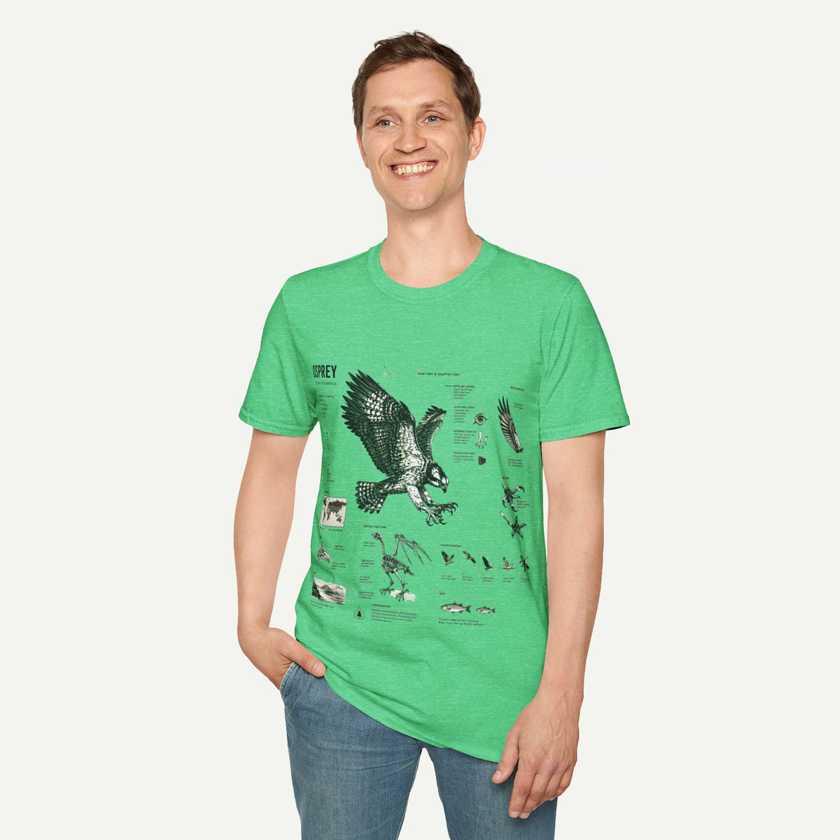 Osprey Anatomy T-Shirt — Vintage Bird Illustration Tee