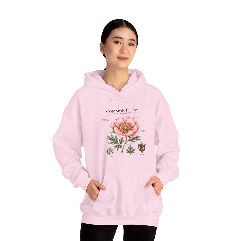 Peony Botanical Hoodie — "Common Peony" Vintage Floral Diagram Sweatshirt