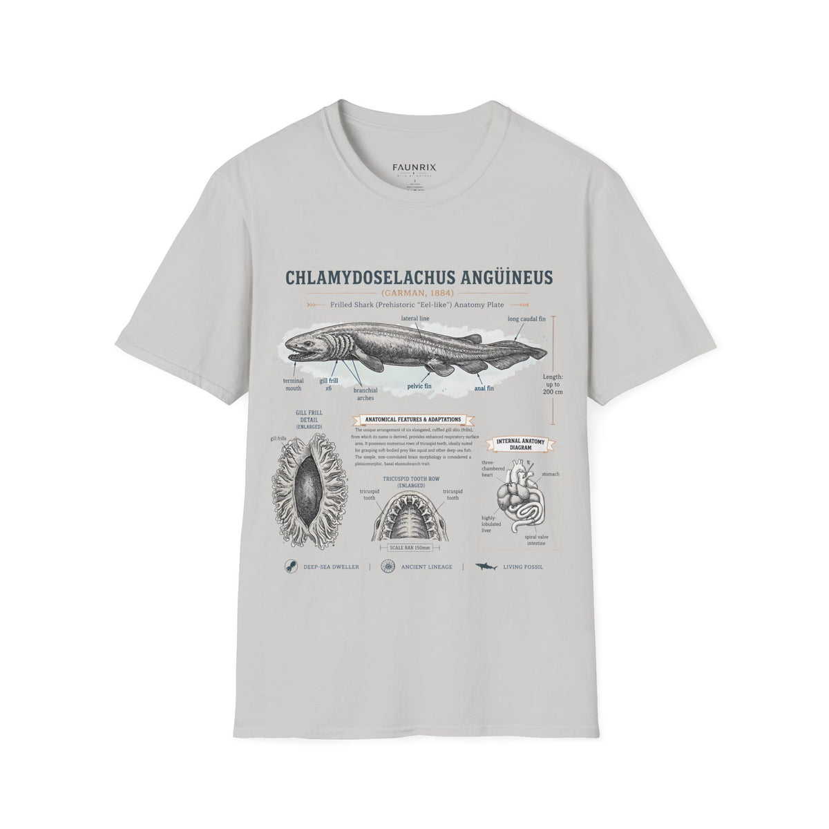 Shark Anatomy Graphic Tee — Chlamydoselachus Anguineus Educational T-Shirt