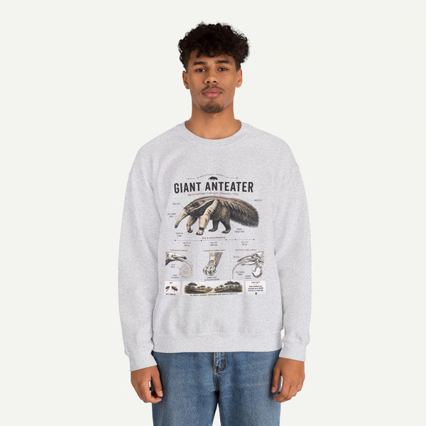 Giant Anteater Anatomy Crewneck Sweatshirt – Vintage Wildlife Anatomy Illustration
