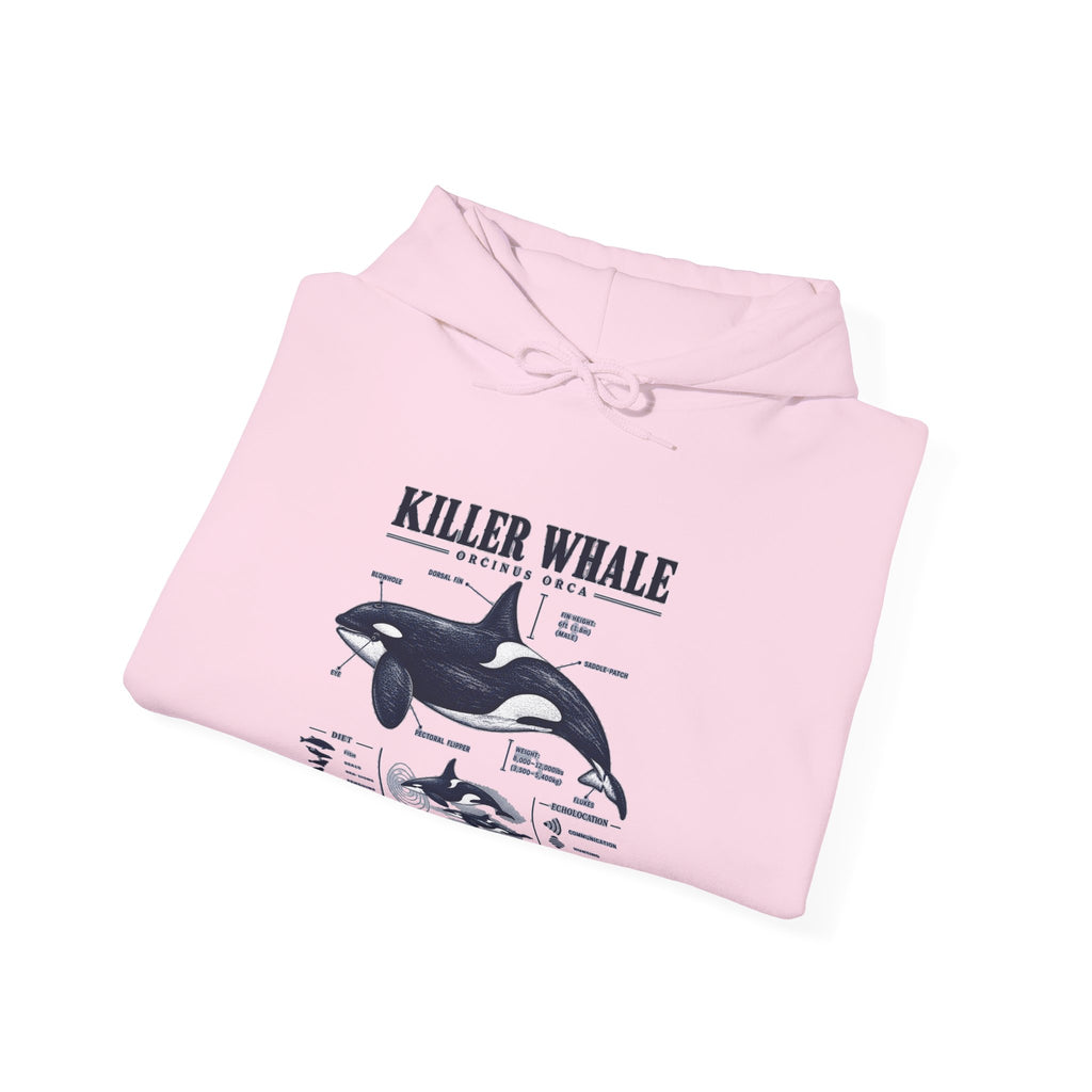 Killer Whale Anatomy Hoodie — Orca Scientific Diagram Sweatshirt