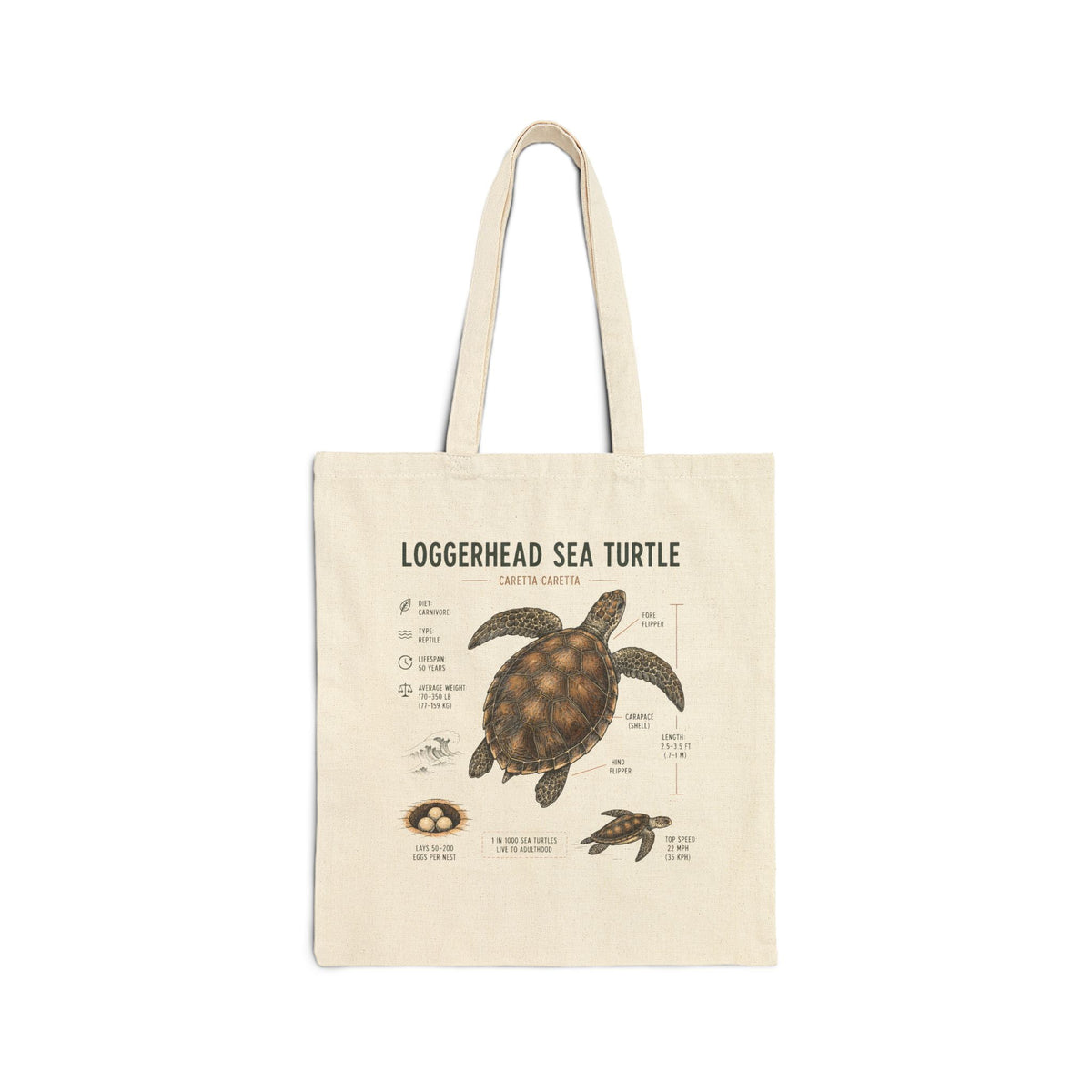 Loggerhead Sea Turtle Anatomy Canvas Tote — Educational Marine Life Beach Bag Main image