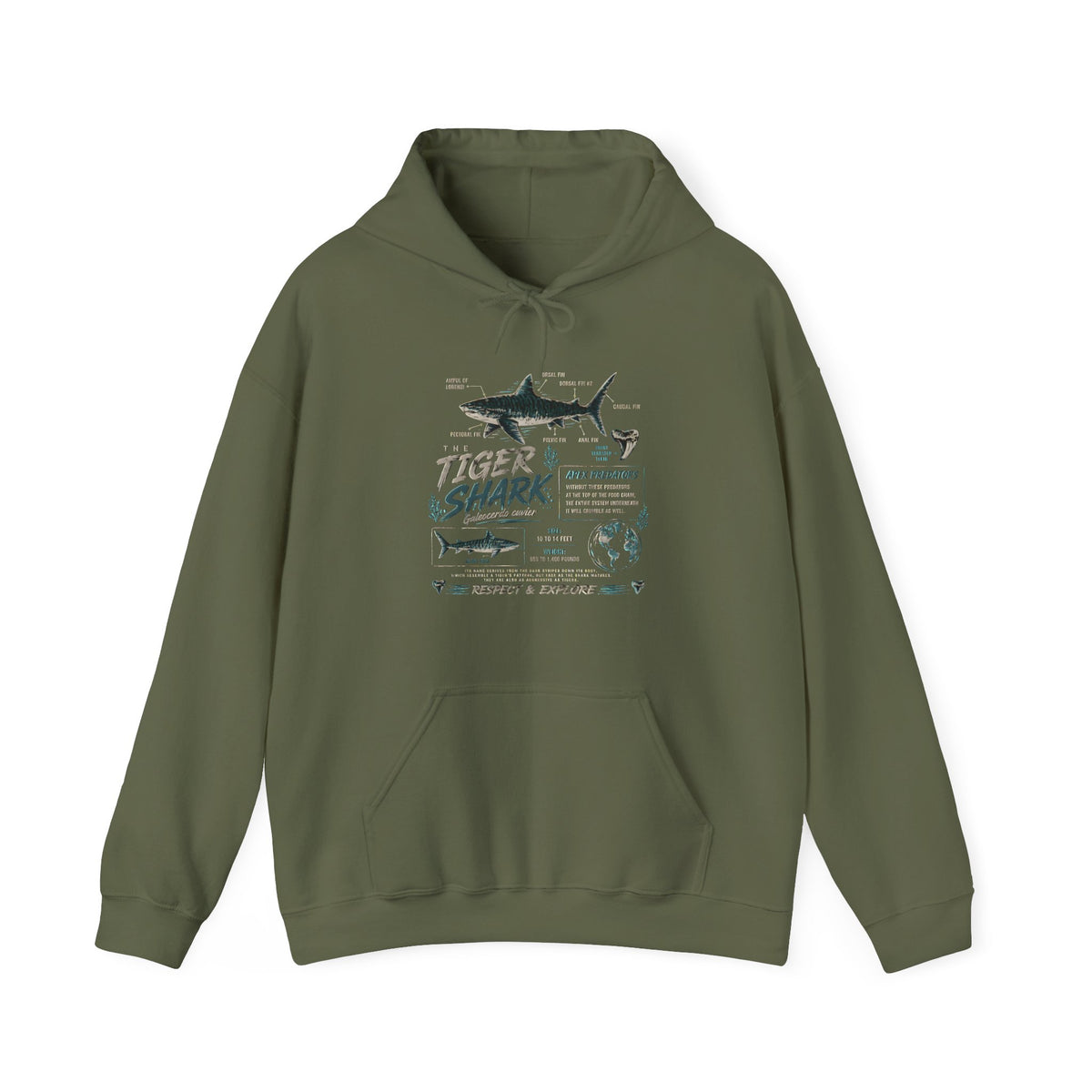 Tiger Shark Illustration Hoodie — Marine Biology Graphic Pullover (Tiger Shark Facts)