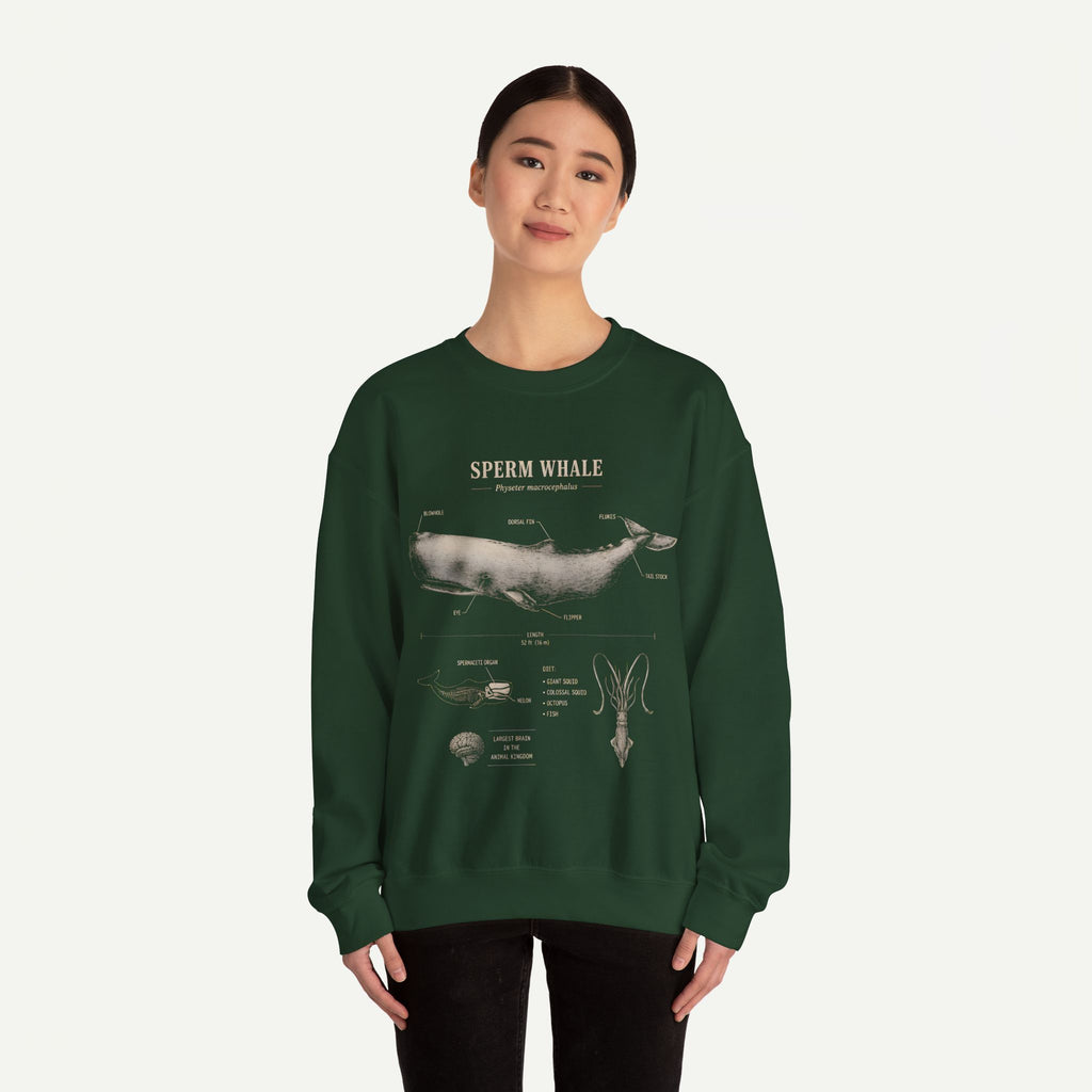 Sperm Whale Anatomy Sweatshirt — Vintage Marine Biology Illustration