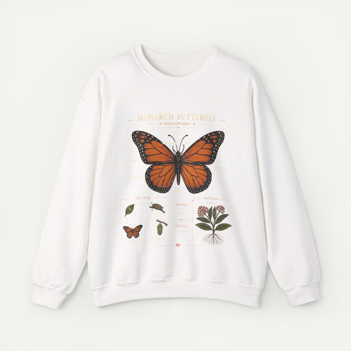 Monarch Butterfly Anatomy Sweatshirt Main image