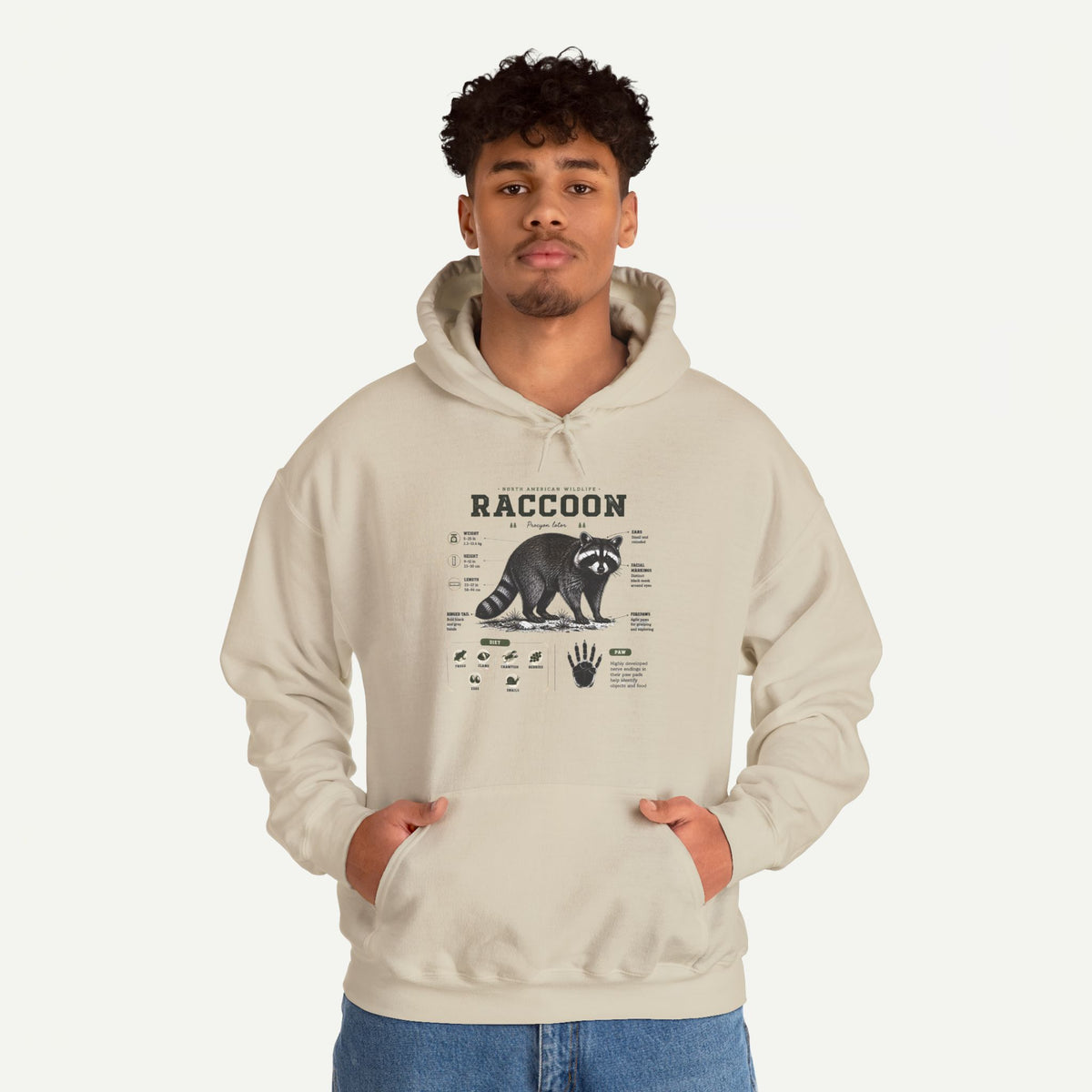 Raccoon Anatomy Hoodie — Vintage Wildlife Illustration Sweatshirt