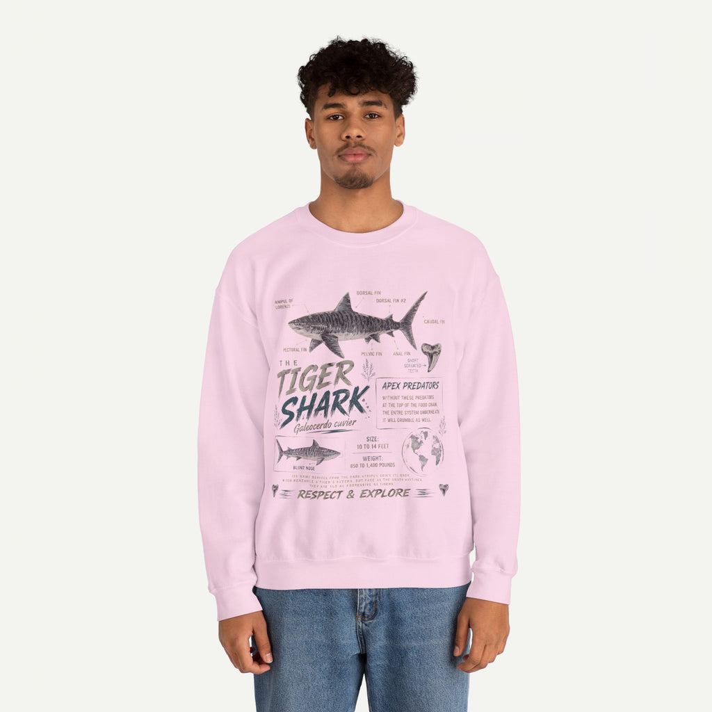 Tiger Shark Anatomy Sweatshirt — Marine Biology Graphic Crewneck