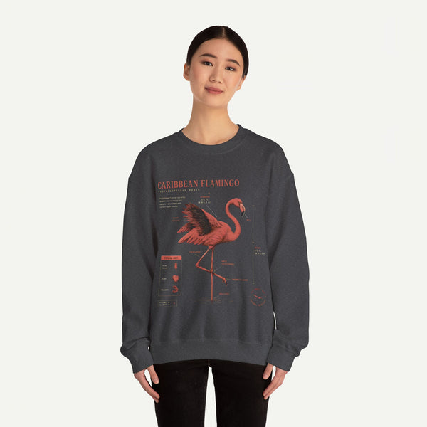 Flamingo Anatomy Field Guide Crewneck Sweatshirt