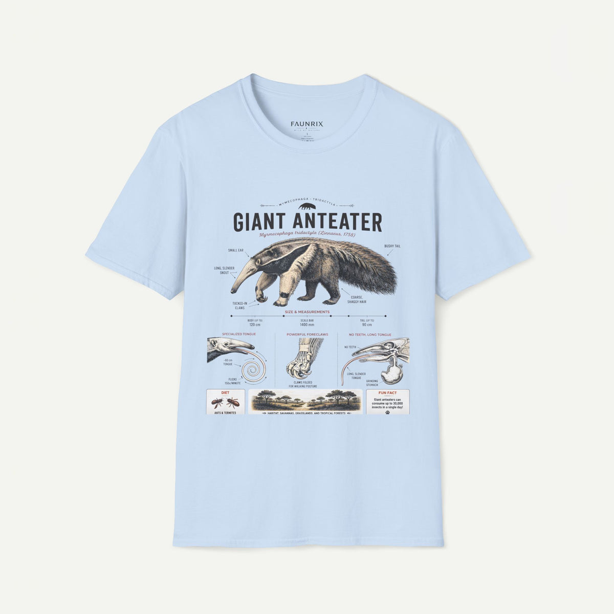 Giant Anteater Anatomy Tee — Vintage Natural History Animal Graphic T-Shirt