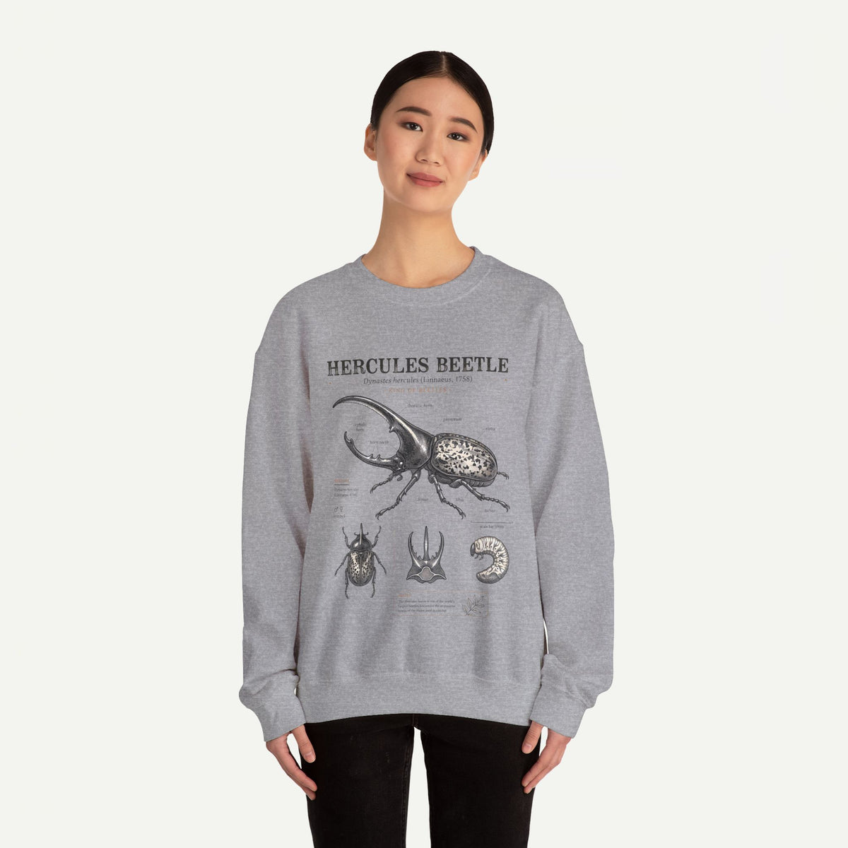 Hercules Beetle Anatomy  Crewneck Sweatshirt – Vintage Entomology Graphic