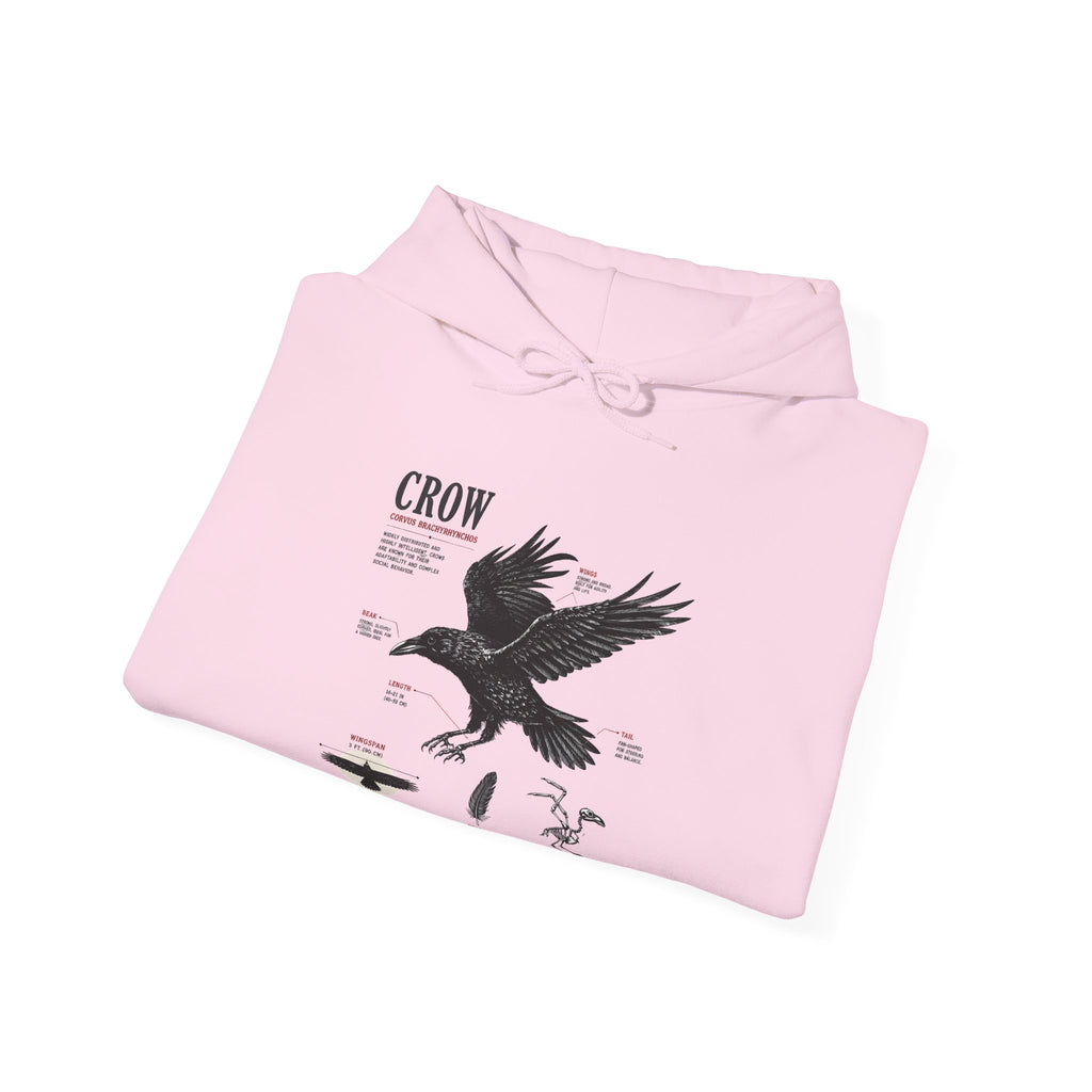Crow Anatomy Hoodie — Vintage Raven Diagram Hooded Sweatshirt