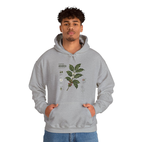 Coffee Plant Hoodie — Coffea Arabica Botanical Illustration Sweatshirt