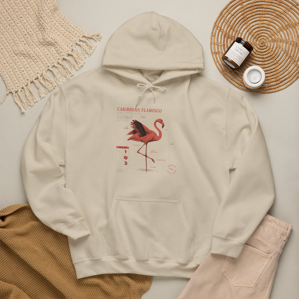 Flamingo Anatomy Hoodie – Caribbean Flamingo Scientific Diagram Sweatshirt