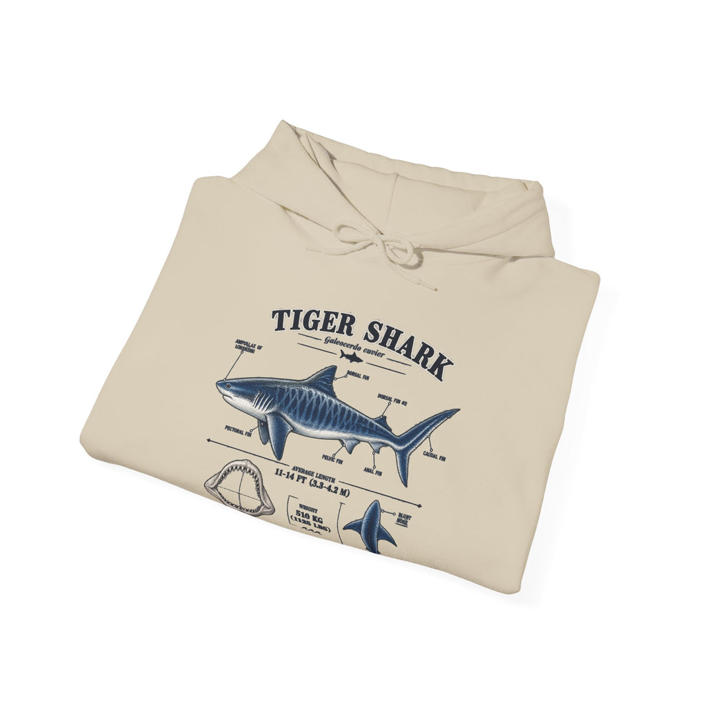 Tiger Shark Anatomy Hoodie — Nautical Science Graphic Pullover