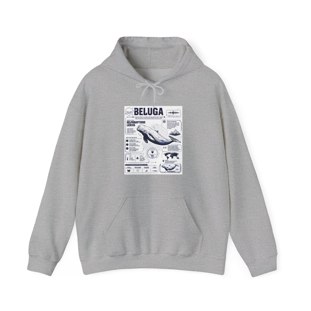 Beluga Whale Graphic Hoodie - Marine Life Diagram Sweatshirt Main image