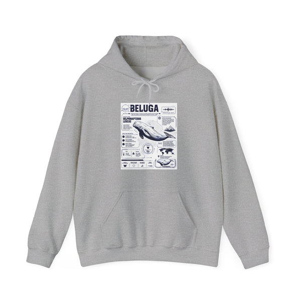 Beluga Whale Graphic Hoodie - Marine Life Diagram Sweatshirt