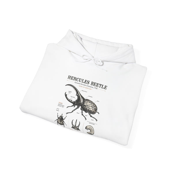 Hercules Beetle Anatomy Hoodie — Vintage Entomology Illustration Sweatshirt