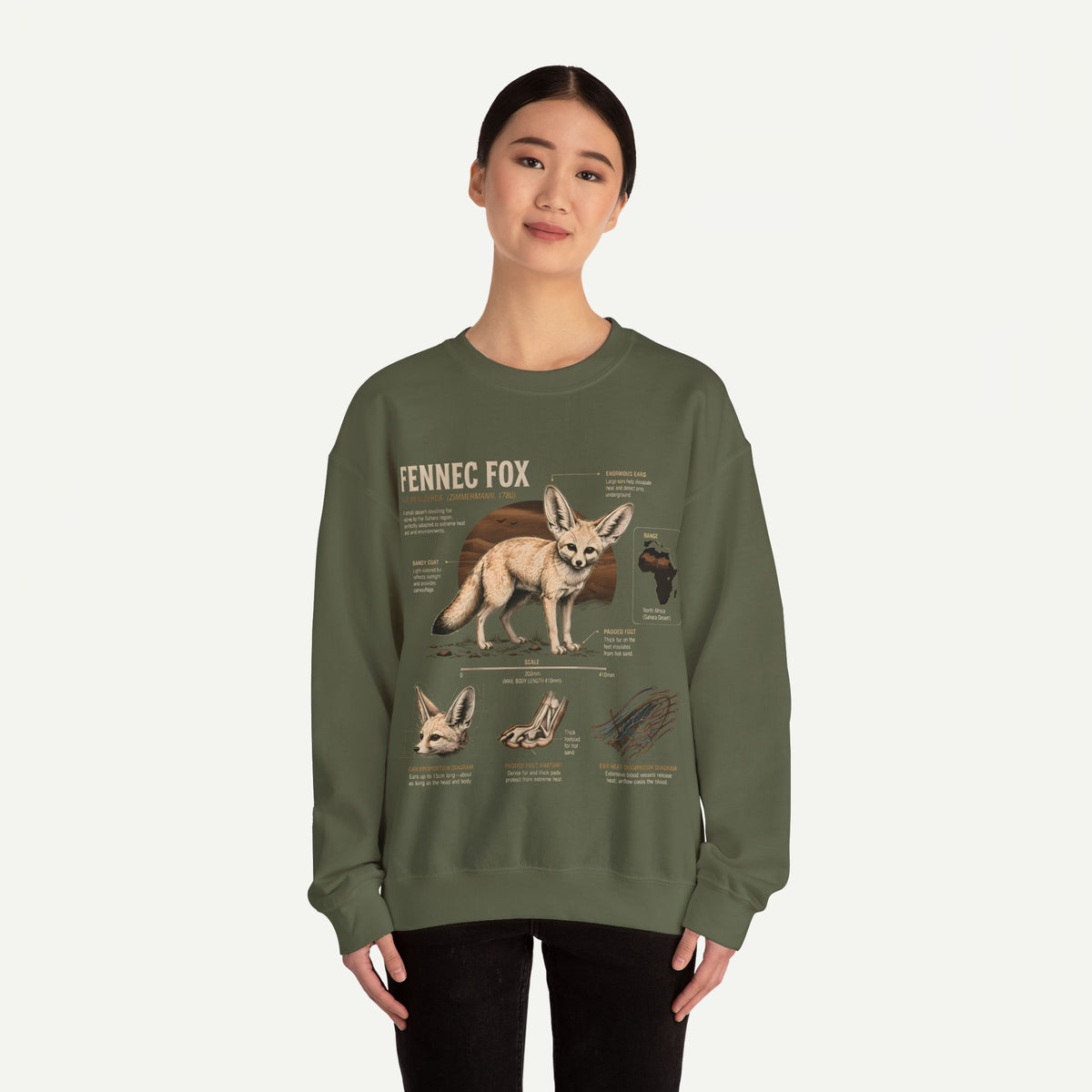 Fennec Fox Anatomy Sweatshirt – Wildlife Anatomy Crewneck