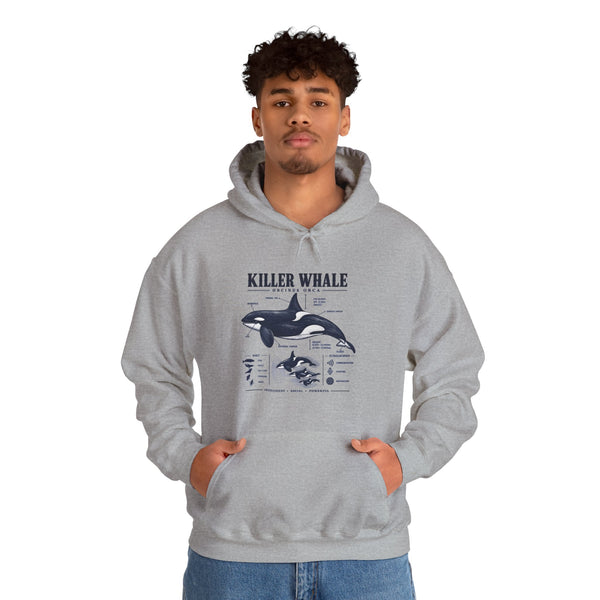 Killer Whale Anatomy Hoodie — Orca Scientific Diagram Sweatshirt