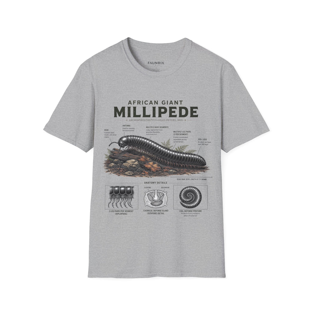 Millipede Anatomy T-Shirt — 'African Giant Millipede' Scientific Graphic Tee Main image