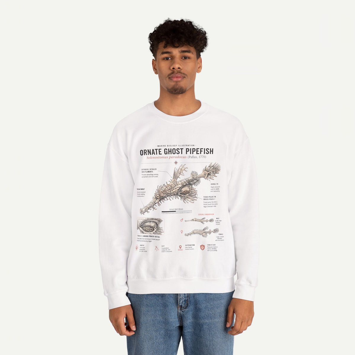 Ornate Ghost Pipefish Anatomy Sweatshirt