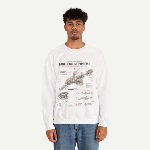 Ornate Ghost Pipefish Anatomy Sweatshirt