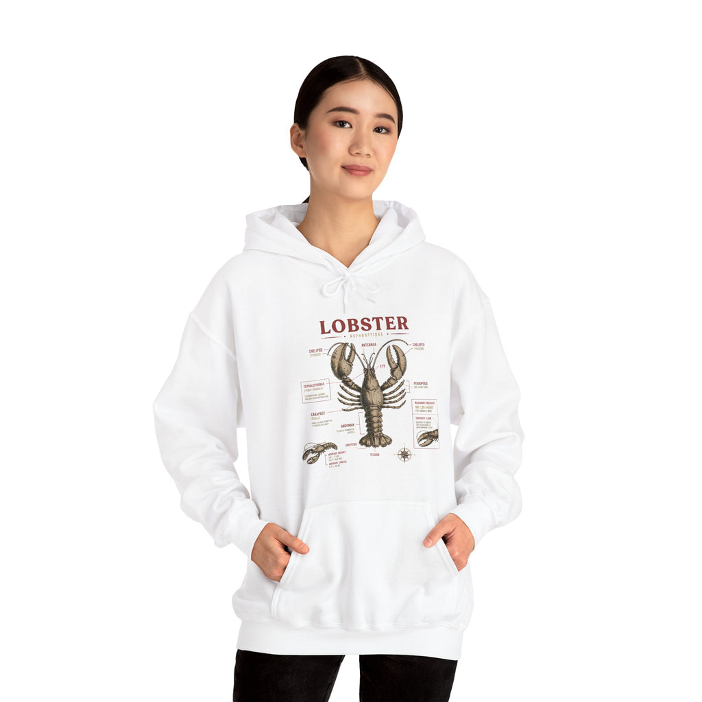 Lobster Anatomy Hoodie – Nautical Seafood Illustration Pullover