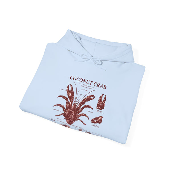 Coconut Crab Anatomy Hoodie — Vintage Botanical & Marine Study Print