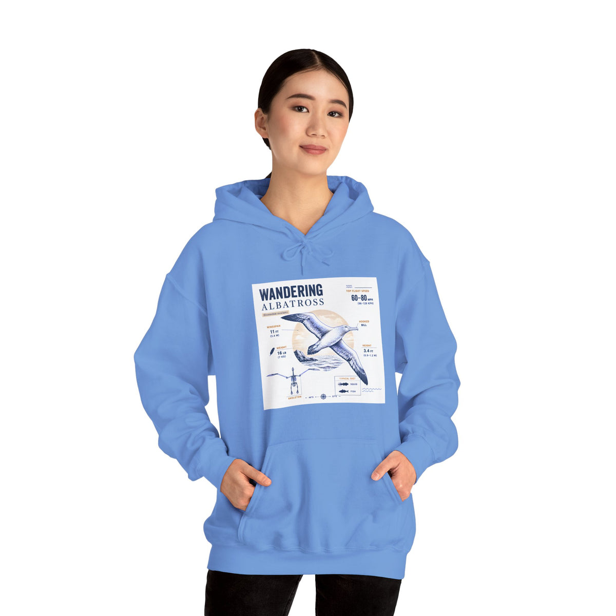 Wandering Albatross Hoodie — Illustrated Sea Bird Anatomy Pullover