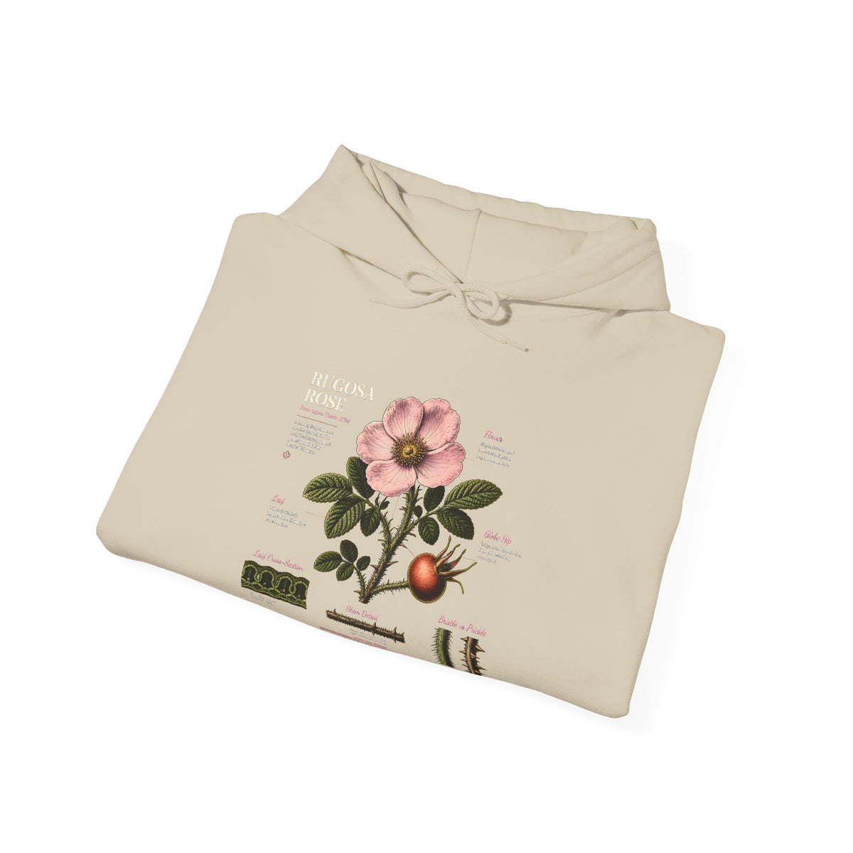 Vintage Botanical Hoodie — Rose Diagram Print