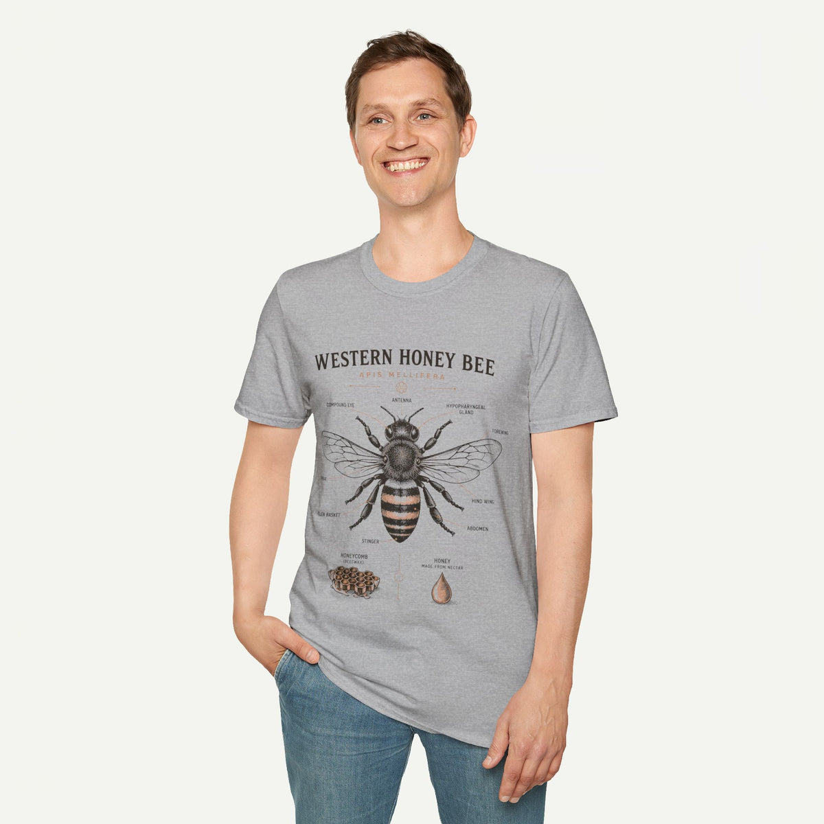 Western Honey Bee Illustration T-Shirt — Apis Mellifera Vintage Bee Anatomy Tee