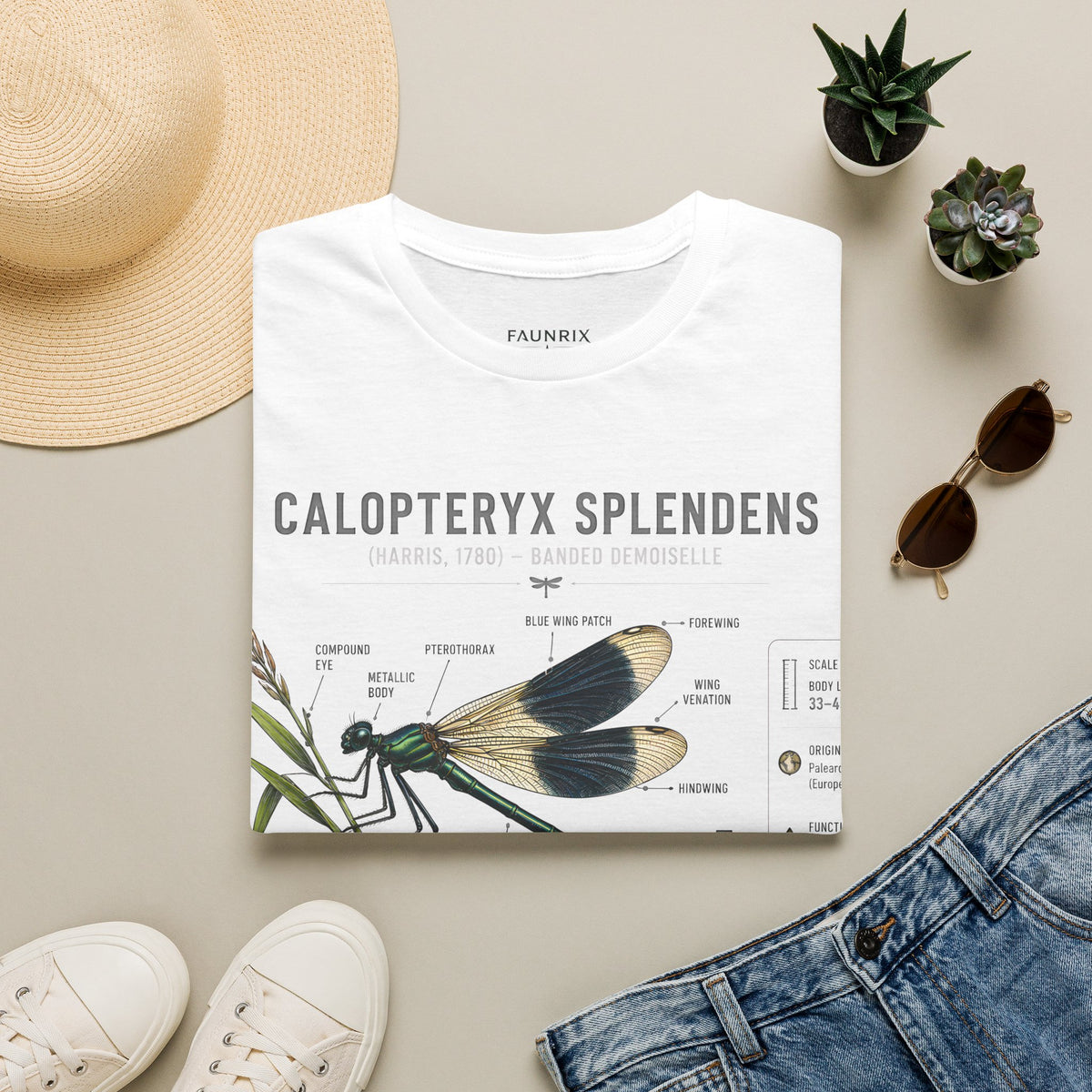 Calopteryx Splendens Anatomy T-Shirt
