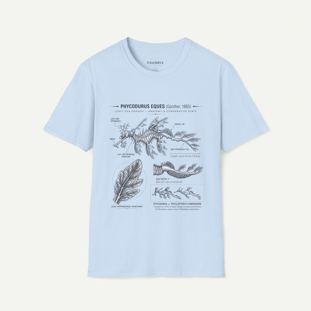 Sea Dragon Anatomy T-Shirt — Phycodurus Eques Botanical Illustration Tee