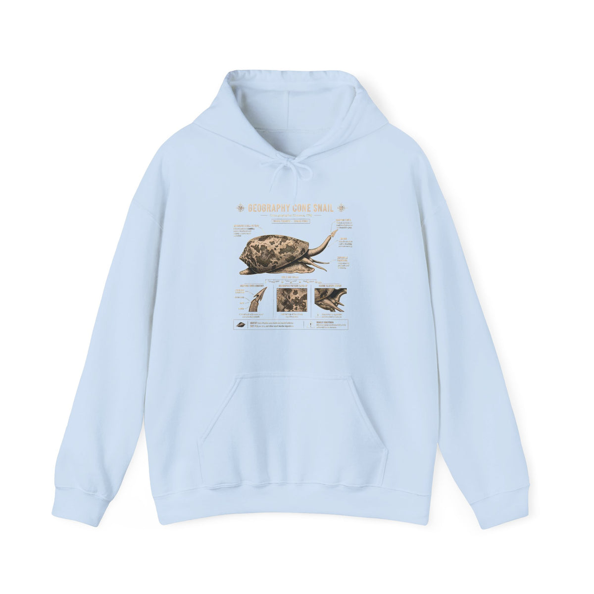 Turtle Anatomy Hoodie — Vintage Sea Turtle Illustration, "Be Different, Embrace Your Shell" Sweatshirt