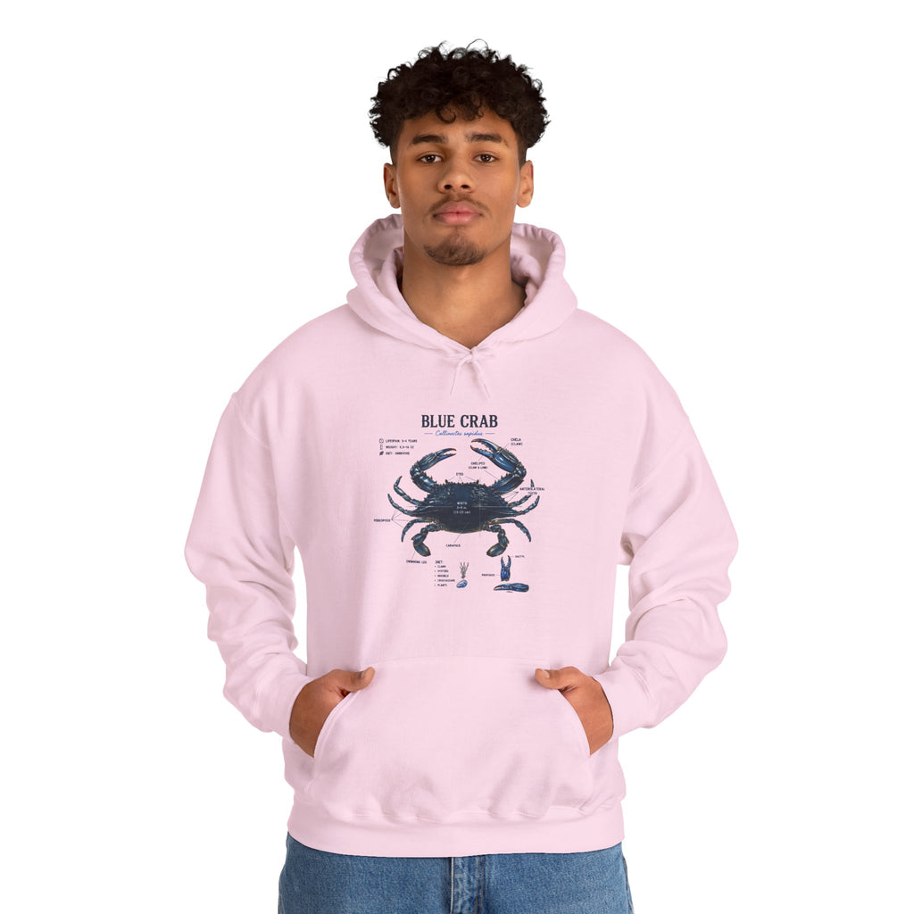 Blue Crab Anatomy Hoodie — Nautical Marine Biology Graphic Sweatshirt