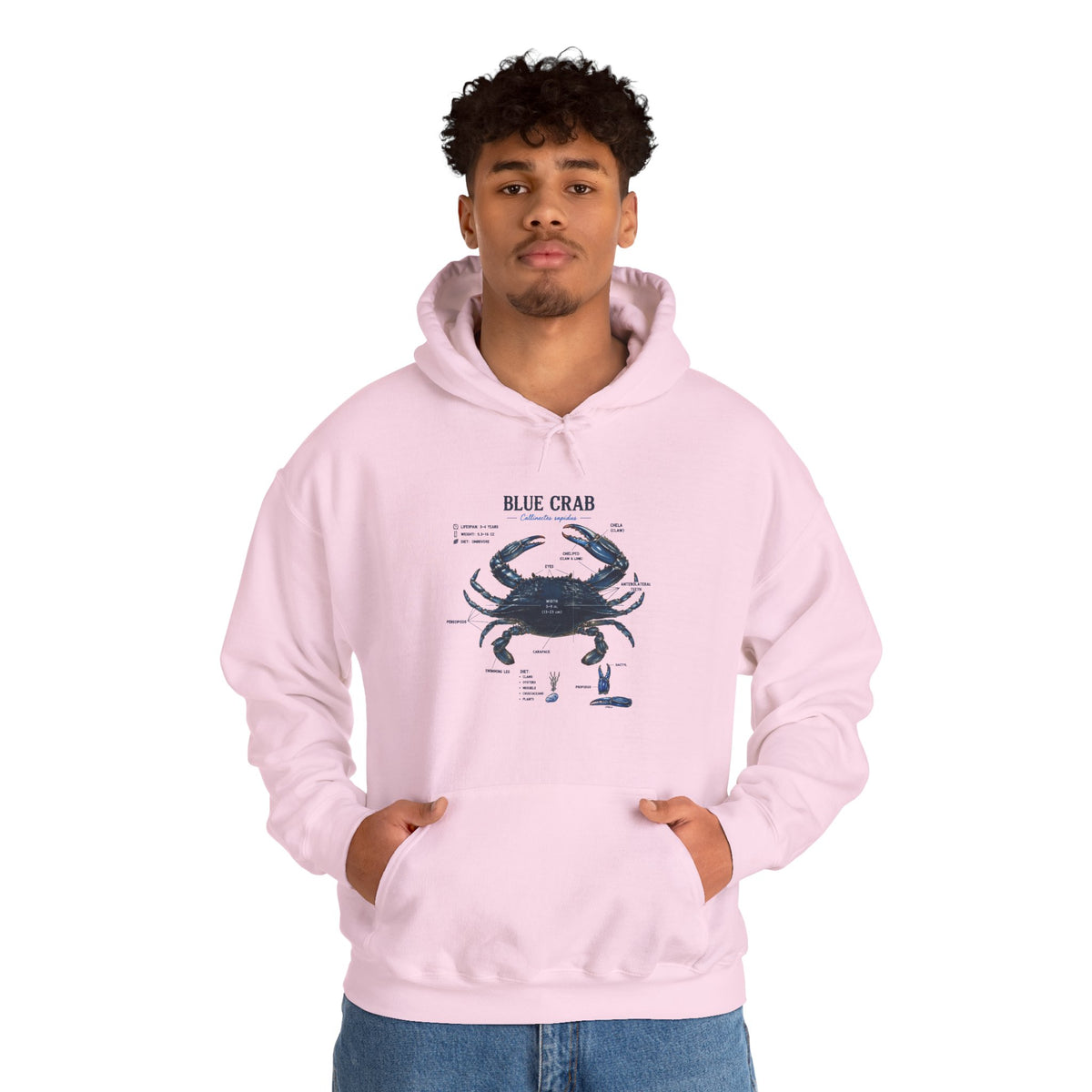 Blue Crab Anatomy Hoodie — Nautical Marine Biology Graphic Sweatshirt