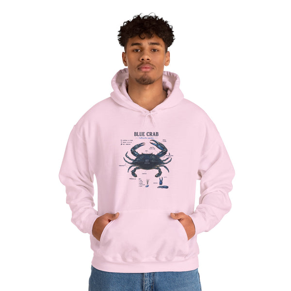 Blue Crab Anatomy Hoodie — Nautical Marine Biology Graphic Sweatshirt
