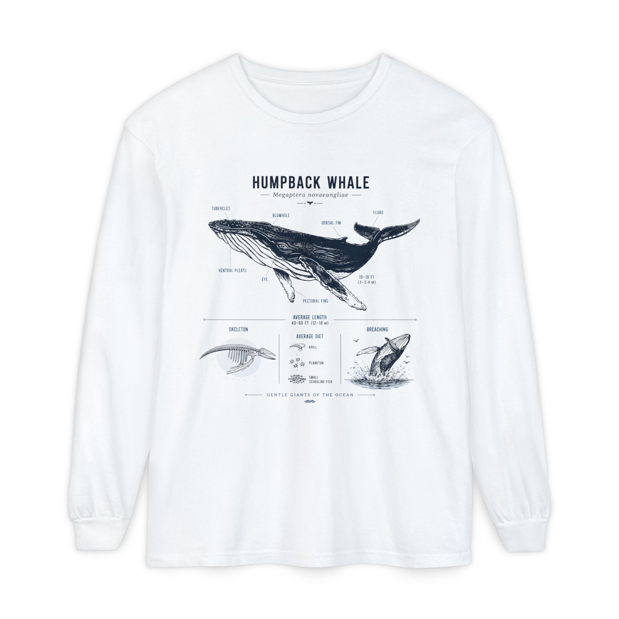 Humpback Whale Anatomy Long Sleeve Tee Secondary image