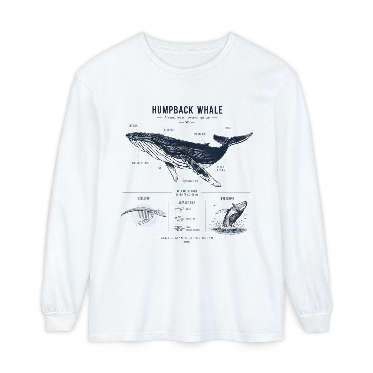 Humpback Whale Anatomy Long Sleeve Tee