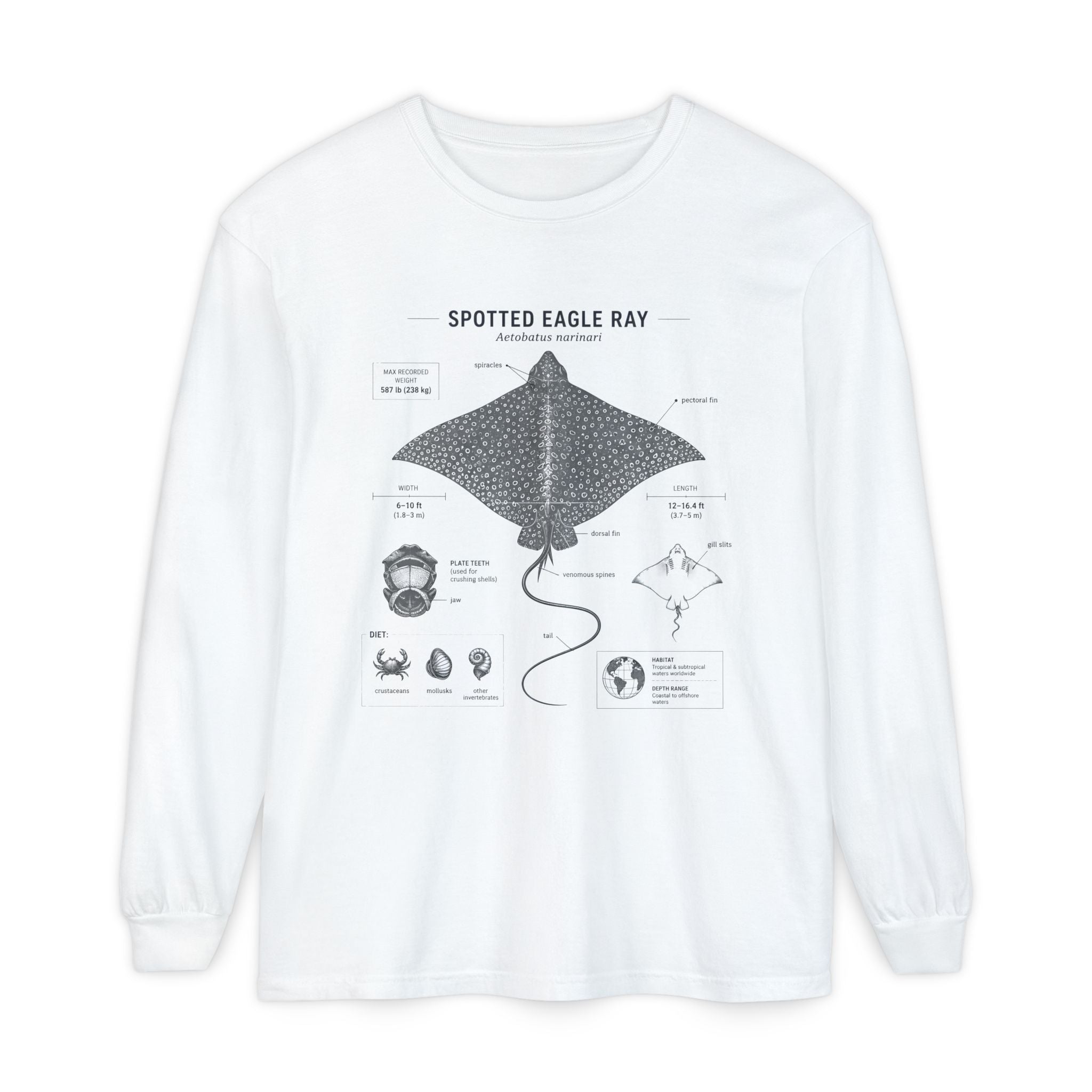 Spotted Eagle Ray Anatomy Long Sleeve Tee Secondary image